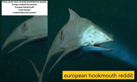 hookmouth|I think I figured it out : r/European.